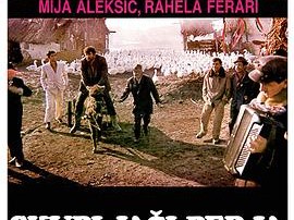 快乐的吉普赛人