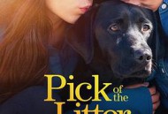 崽之抉择第一季