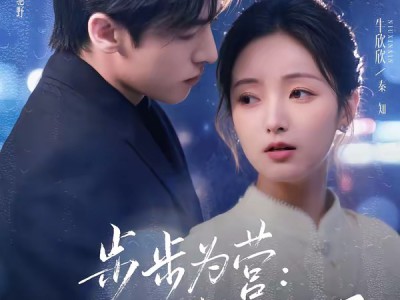 步步为营秦小姐的局