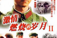 激情燃烧的岁月2
