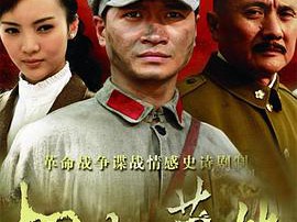 桐柏英雄MP4格式