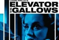 通往绞刑架的电梯