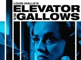 通往绞刑架的电梯