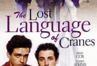 鹤遗失的语言