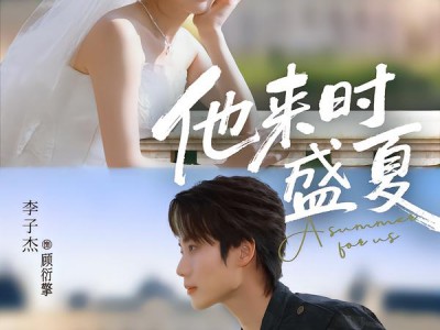 他来时盛夏