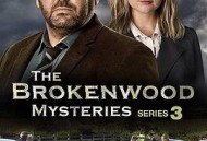 断林镇谜案第二季