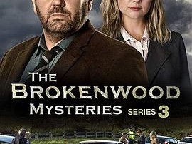 断林镇谜案第二季