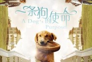 一条狗的使命