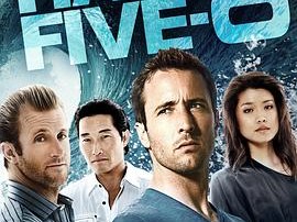 夏威夷特勤组第三季