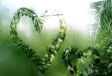 慧眼女特工第三季MP4格式