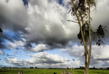 实验室生成最短硬X射线激光脉冲