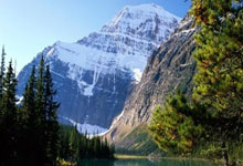 钙钛矿图像传感器性能大幅提升