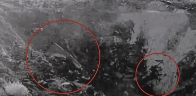 美国国家档案馆上传22分钟视频，揭秘罗斯威尔事件的真相