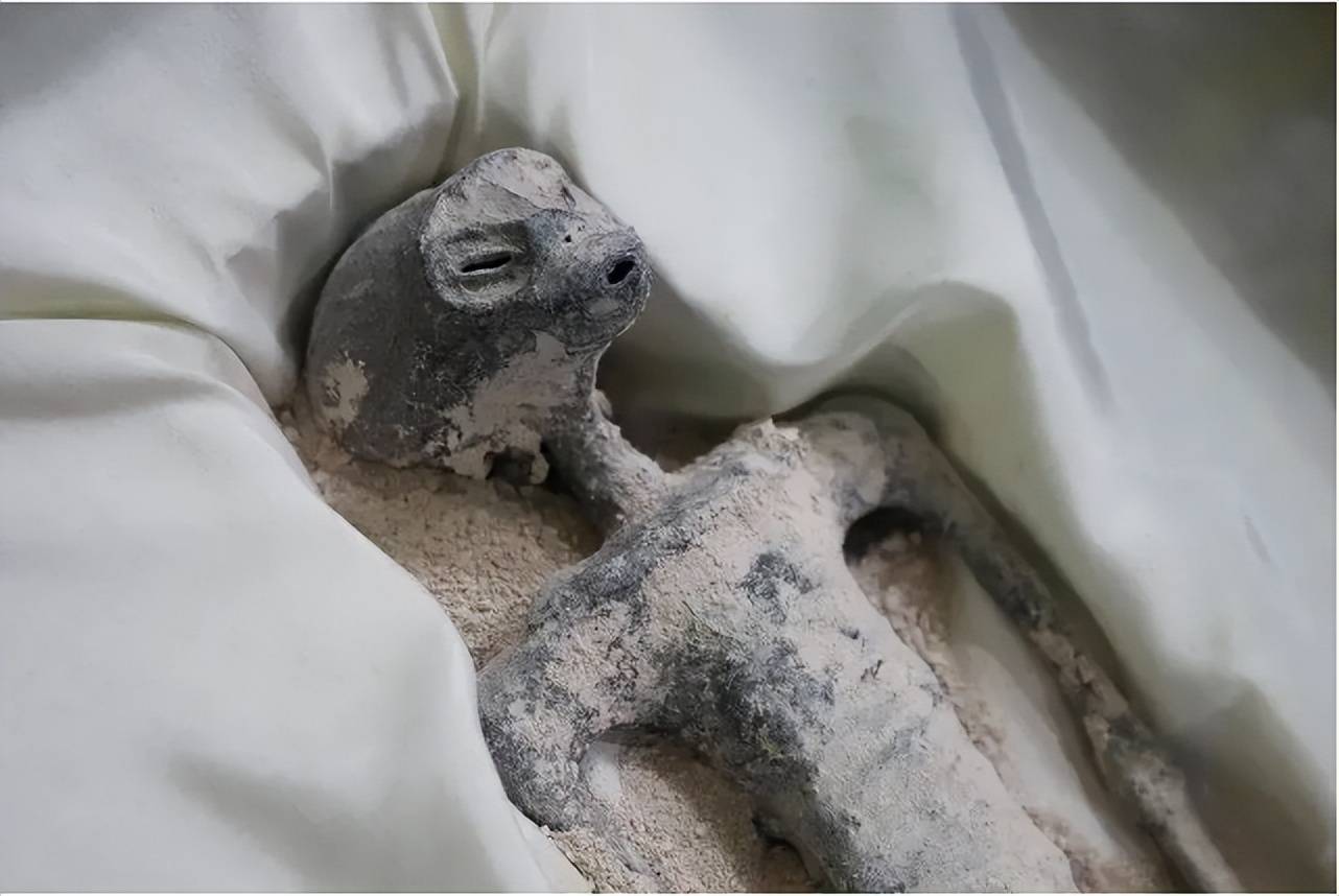 墨西哥国会“外星人尸体”事件（有图片）