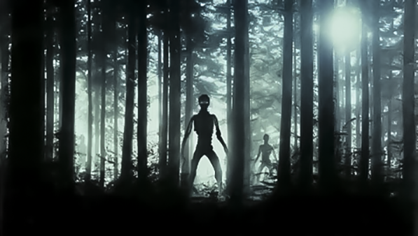 2022年7月11日秘鲁UFO事件，部落恳求军方保护，声称多日晚间遭受2米高“外星人”袭击 