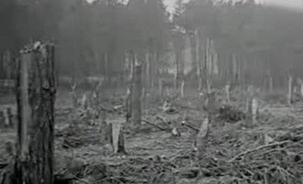 揭秘1994年中国“空中怪车”事件，UFO或许真实存在。