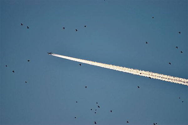 揭秘中国UFO真实事件，全国各地多处存在不明飞行物。