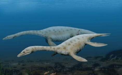 尼斯湖水怪,尼斯湖水怪的千年之谜