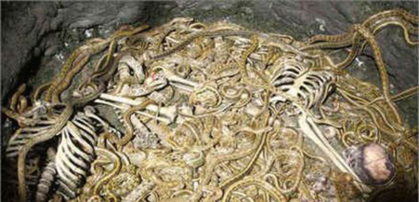 成吉思汗陵墓诅咒的秘密