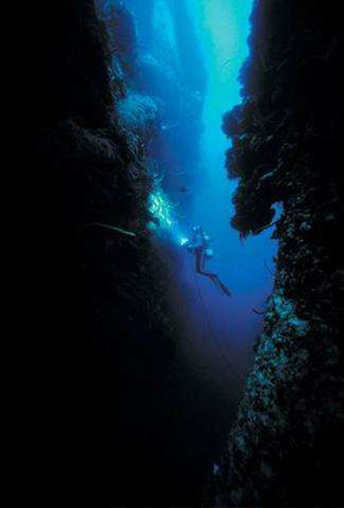 北纬30度想不到的景象(上）