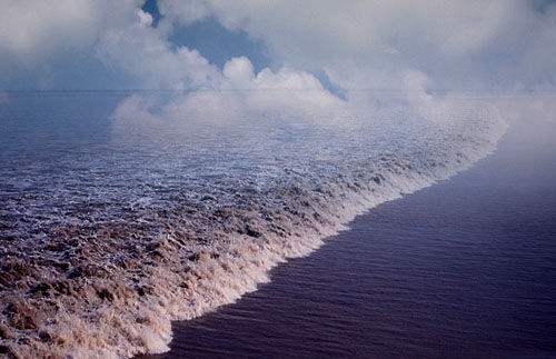 北纬30度想不到的景象(上）