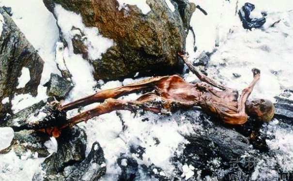 世界上被第一个发现的木乃伊奥兹冰人，他的诅咒是真的么