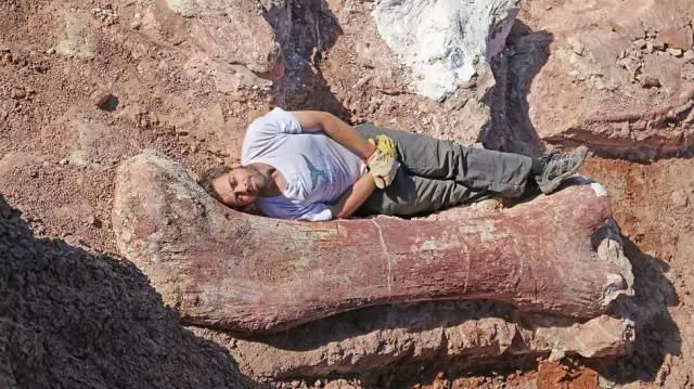 放羊人发现巨骨，众人挖出史前巨兽！