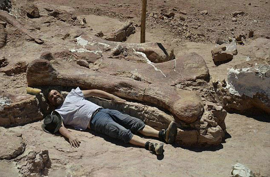 放羊人发现巨骨，众人挖出史前巨兽！