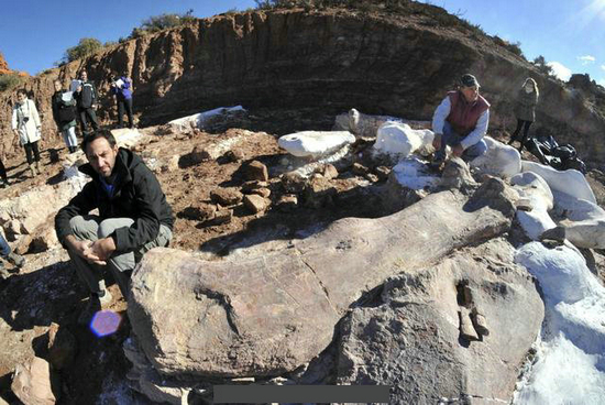 放羊人发现巨骨，众人挖出史前巨兽！
