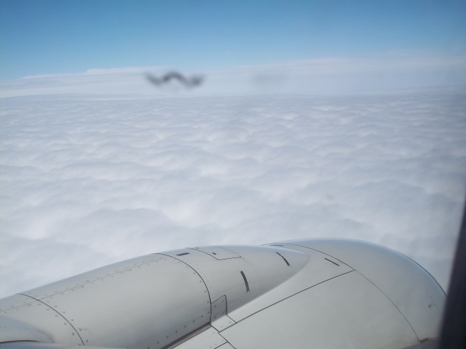 我们身为“龙”的传人？那么龙真的存在么