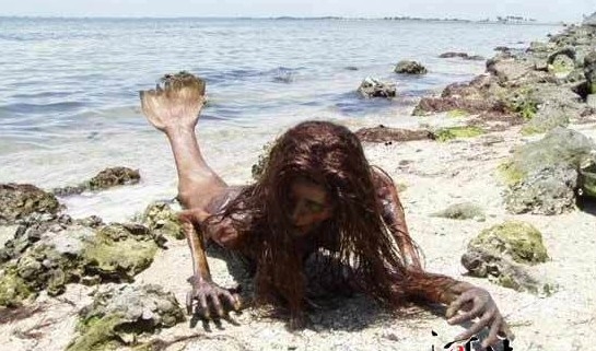 美人鱼是否存在？