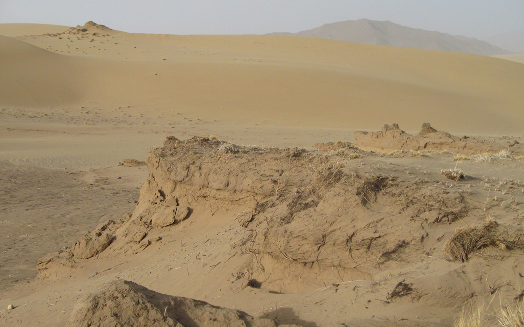 在人类消失之后的一万年里，地球到底会是什么样的呢？