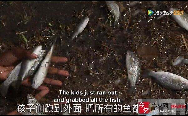 天上下雨竟下出了鱼？原来是这样的