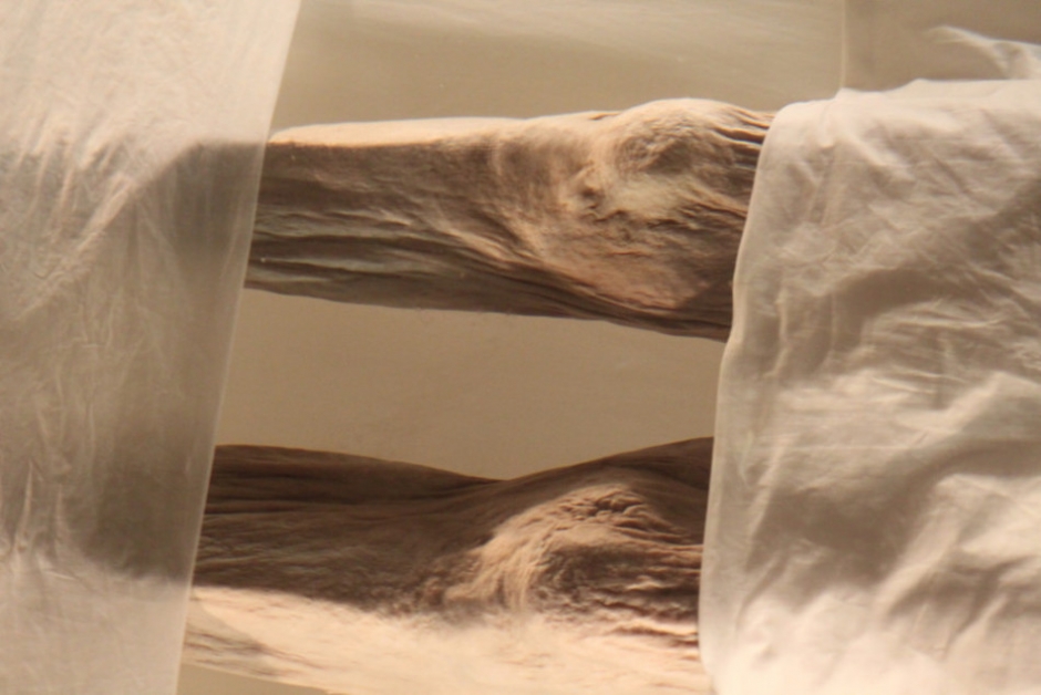 东方“睡美人”