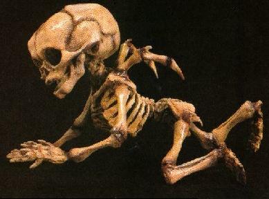 “飞人”是否真的存在，为什么西方与东方都有记载和描述？