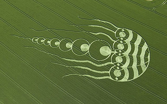 至今369年的麦田怪圈，你是如何理解的？